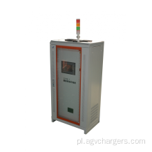 Niestandardowa ładowarka do akumulatorów elektrycznych Quick Battery Charger